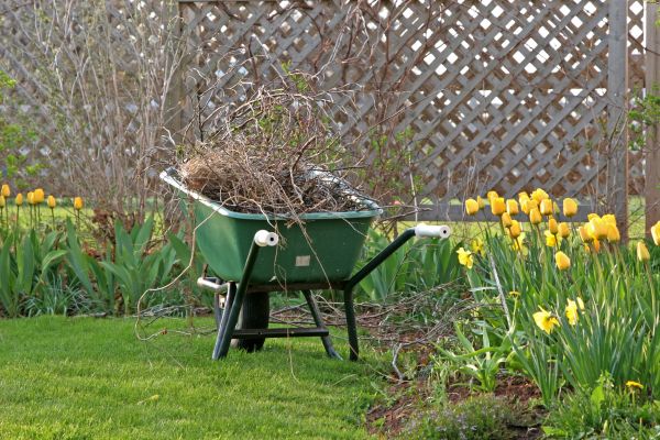 Flower Bed Cleanup Service in Snellville