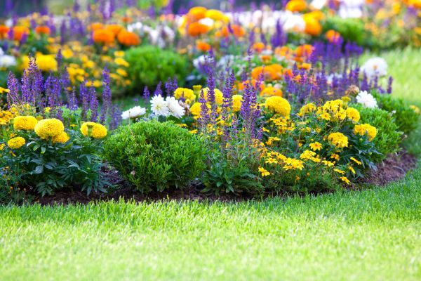 Flower Bed Maintenance in Snellville