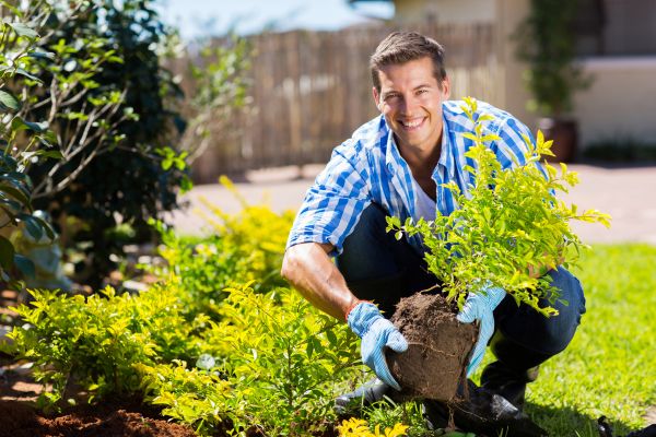 Bush Planting Service in Snellville