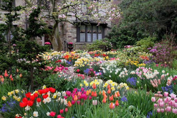 Garden Maintenance Service in Snellville