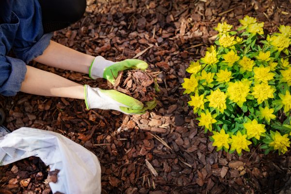 Pine Bark Delivery in Snellville
