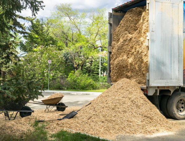 Wood Chips Delivery in Snellville
