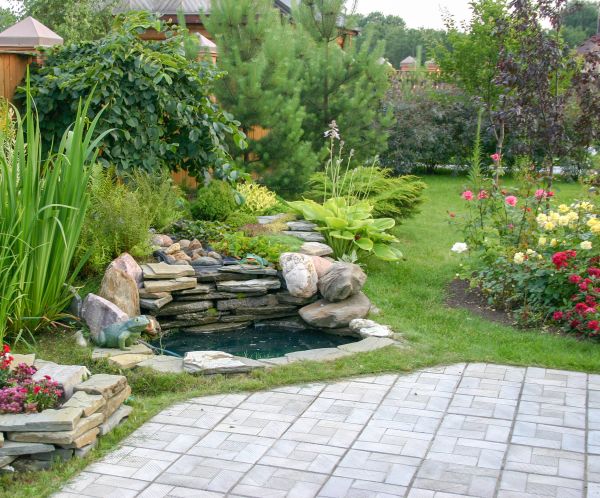 Yard Renovation in Snellville