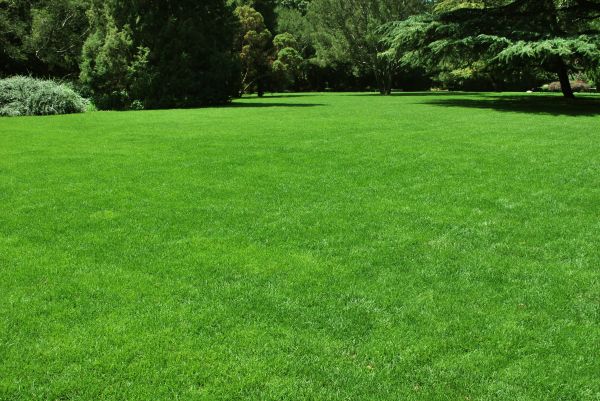 Lawn Landscaping in Snellville