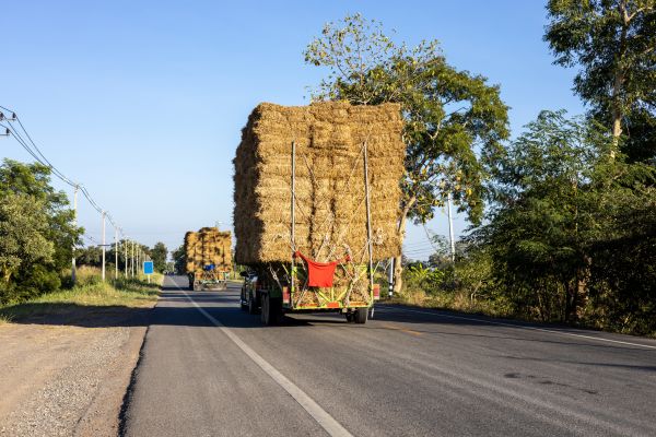 Pine Straw Delivery in Snellville