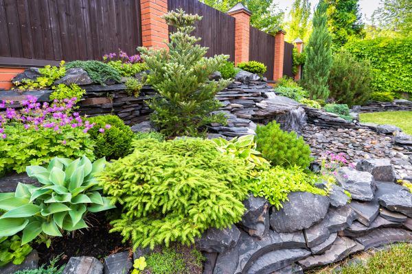 Landscape Remodeling in Snellville