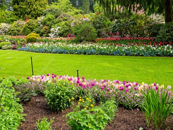 Residential Landscape Design in Snellville
