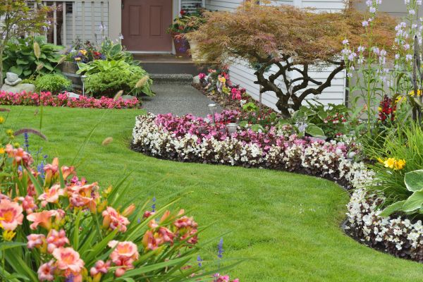 Perennial Landscaping in Snellville