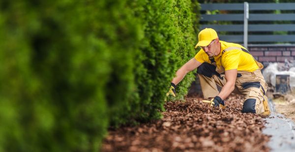 Cypress Mulch Installation in Snellville