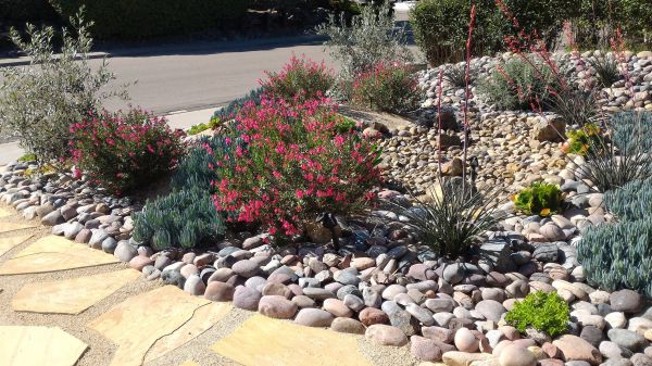 Xeriscape Landscaping in Snellville