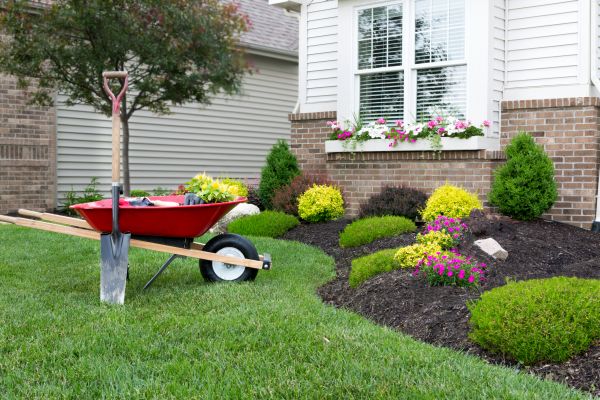 Tree And Shrub Planting in Snellville