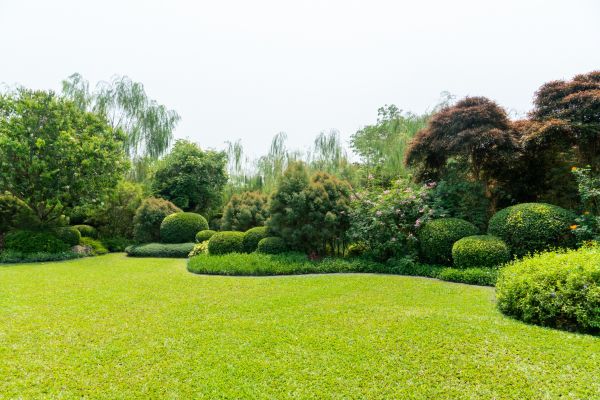 Tree Landscaping in Snellville