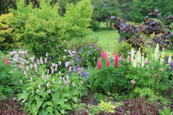 Flower Bed Planting in Snellville