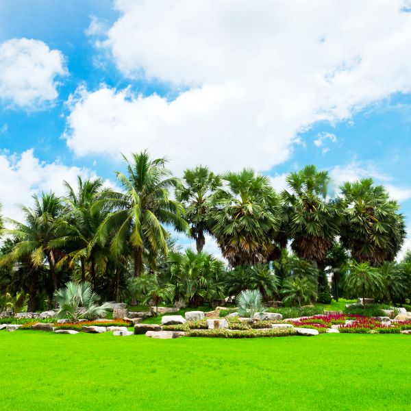 Tropical Landscaping in Snellville