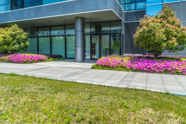 Commercial Gardening in Snellville