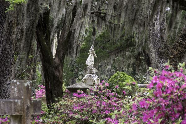Cemetery Landscaping in Snellville