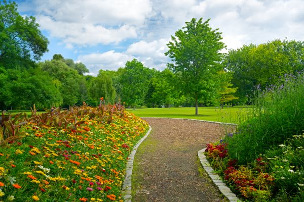 Park Landscaping in Snellville