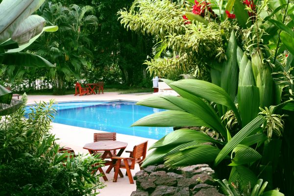 Tropical Garden Landscaping in Snellville