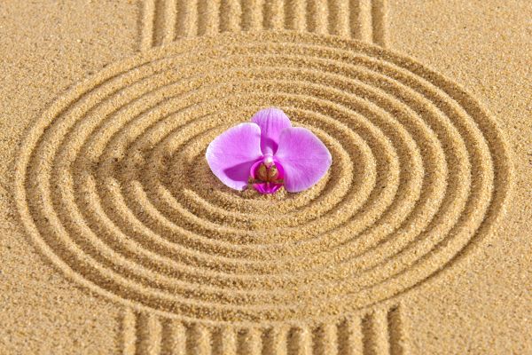 Sand Garden Landscaping in Snellville