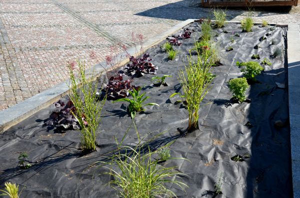 Landscape Fabric Installation in Snellville