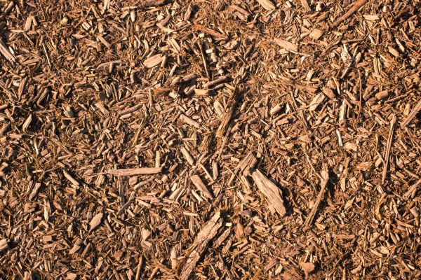 Wood Chips Removal in Snellville