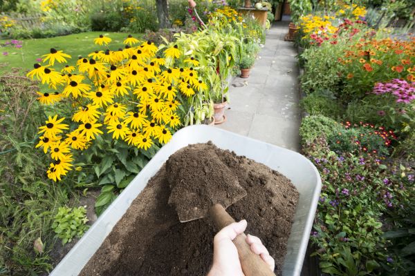 Topsoil Replacement in Snellville