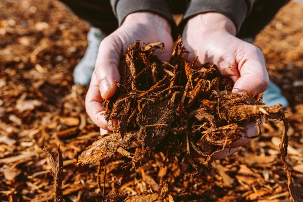 Bark Chips Delivery in Snellville