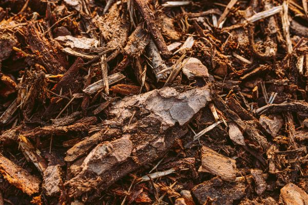 Bark Mulch Delivery in Snellville
