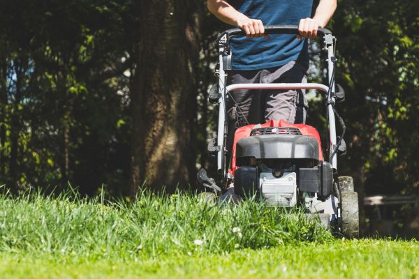 Garden Trimming Service in Snellville