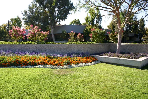 Commercial Landscape Service in Snellville
