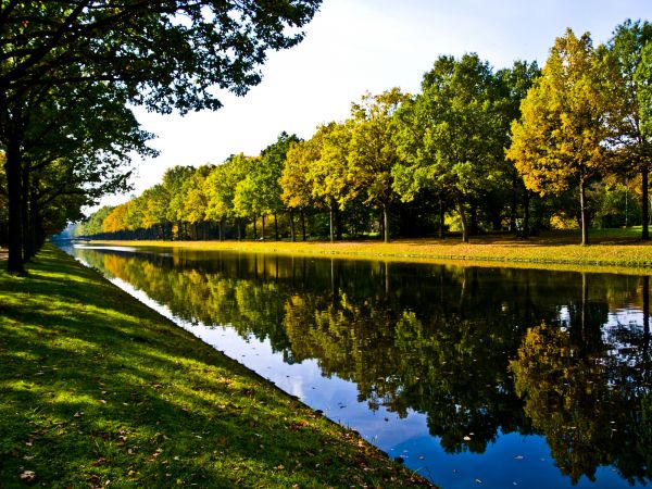 Bank Landscaping in Snellville