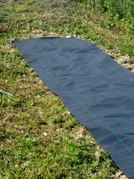 Weed Suppressant Installation in Snellville
