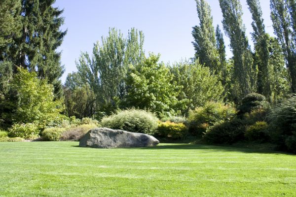 Yard Enlargement in Snellville