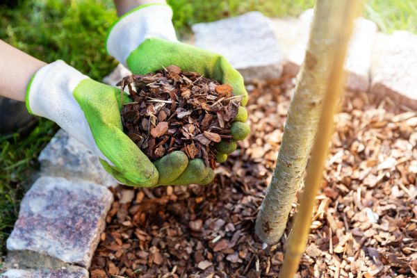 Tree Bark Delivery in Snellville