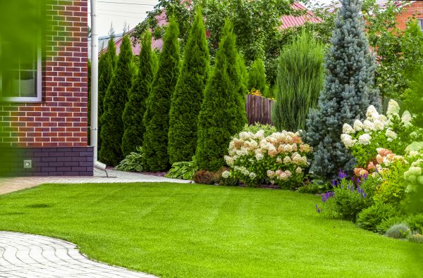 Spring Landscaping in Snellville