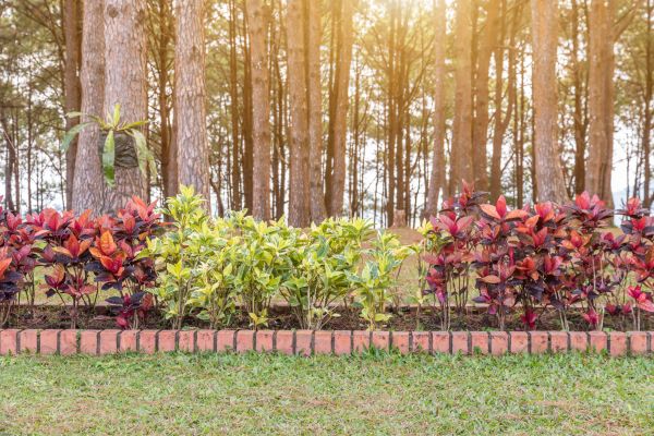 Small Garden Landscaping in Snellville