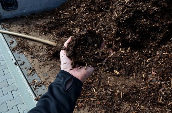 Condo Mulching in Snellville