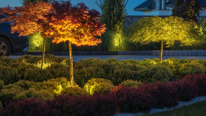 Landscape Lighting Experts